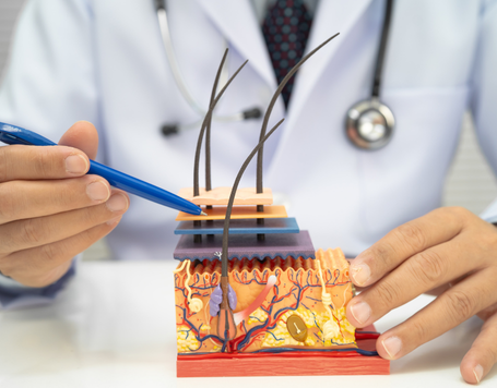 Trends in der Haarmedizin 2026